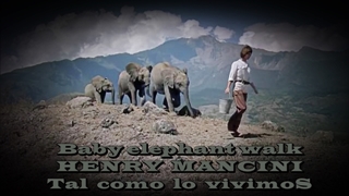 BABY ELEPHANT WALK
